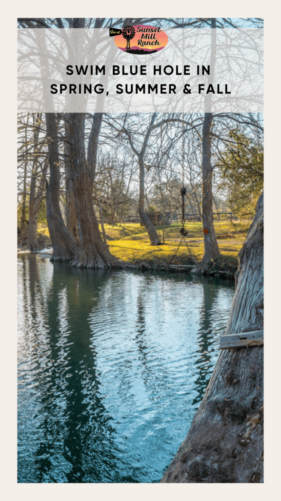 Blue-Hole - Inn at Sunset Mill Ranch image of blue hole in wimberley