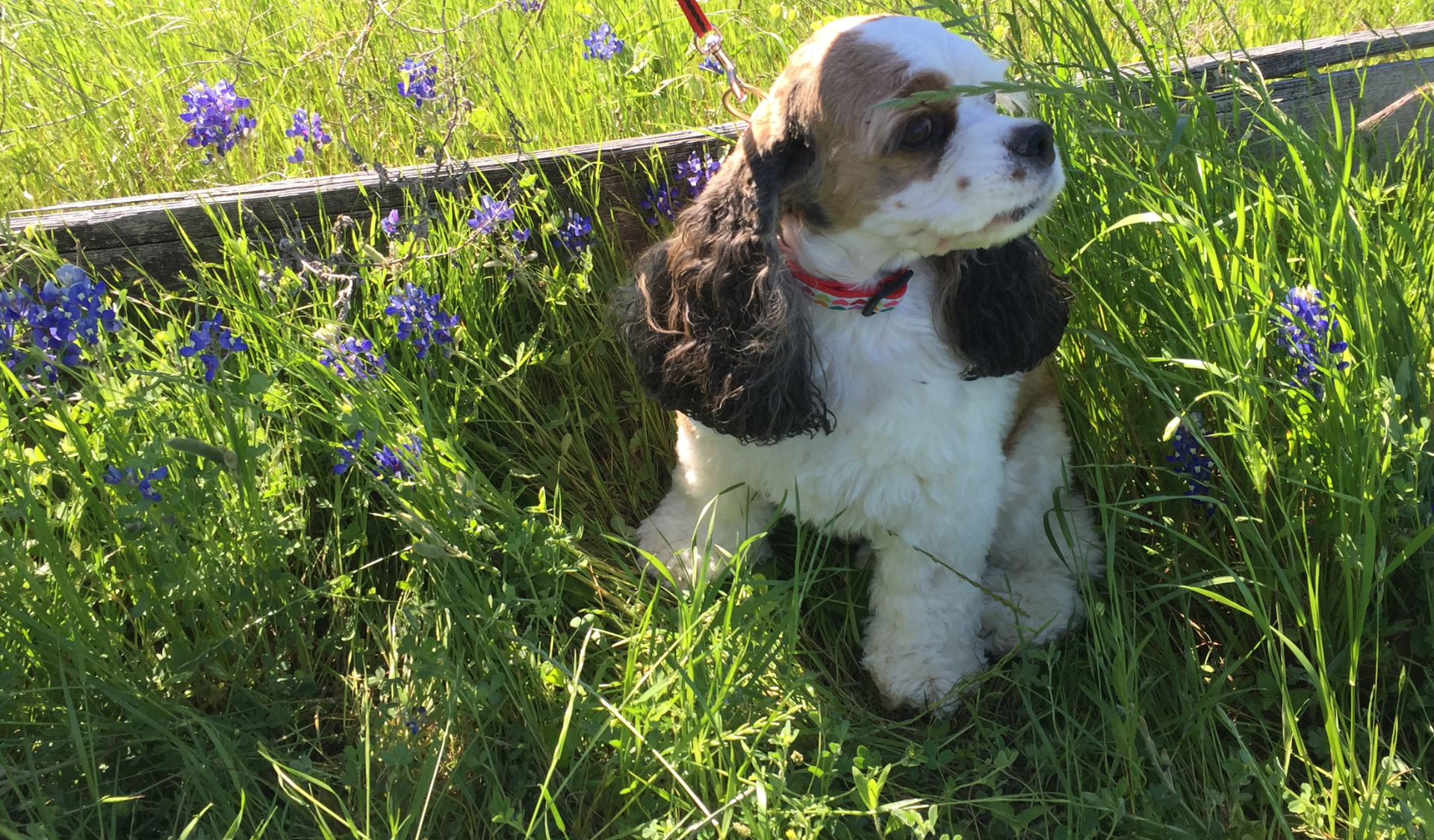 Image of Maggie